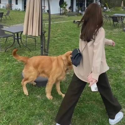 自卫的艺术