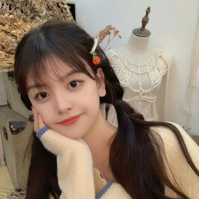 凡妮莎海辛第五季